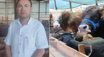 İş insanı sattığı hayvanın fotoğrafını çekmek isterken canından oldu