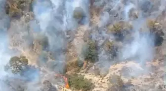 Foça'da Yangın Kontrol Altına Alındı