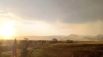 Kızıltepe'de Yangın: 350 Dönüm Buğday Yandı