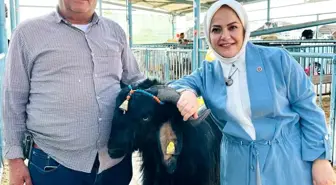 Gelecek Partisi'nden Hayvan Pazarı Ziyareti