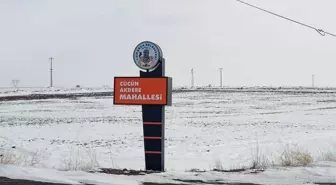 Kayseri'de Kene Isırmasıyla İlgili Üzücü Olaylar Yaşandı