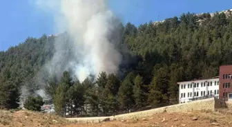 Adıyaman'da Orman Yangını Korkuttu