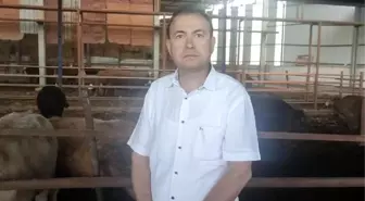 Manisa'da Kurbanlık Dananın Saldırısına Uğrayan İş Adamı Hayatını Kaybetti