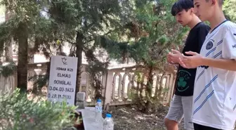 Kurban Bayramı Arifesinde Kabir Ziyaretleri