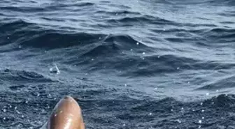 Otomatik Yüzücü Tuna Tunca, Manş Denizi'ni Geçmeyi Hedefliyor