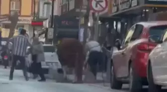 Ümraniye'de Kurban Pazarından Kaçan Boğa Ortalığı Karıştırdı