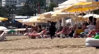 Kesilmekten Kaçan Keçi Kleopatra Plajı'nda Görüntülendi