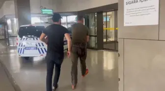 Kurban Bayramı'nda Acemi Kasaplar Hastanelik Oldu