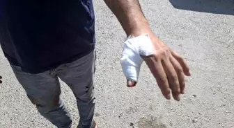Kahramanmaraş'ta Kurban Bayramı'nda Acemi Kasaplar Hastaneye Akın Etti