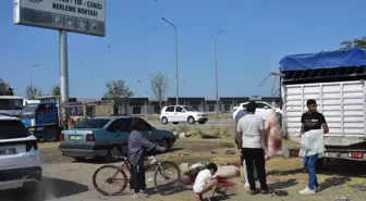 Konya'da İzinsiz Kurulan Hayvan Pazarında Hijyen Sorunu