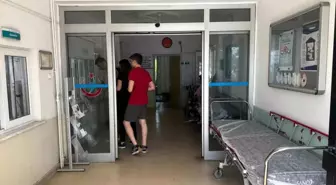 Kurban Bayramı'nda Alaplı'da 15 Kişi Yaralandı