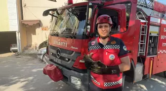 Kedi Yavrusu İtfaiye Tarafından Kurtarıldı