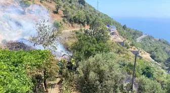 Antalya'da Bahçe Yangını Kontrol Altına Alındı