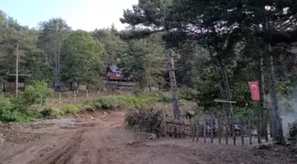Osmaniye Sıcaklarından Kaçış: Vatandaşlar Zorkun Yaylası'na Akın Etti