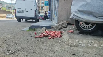 Zonguldak'ta Kurban Etleri Sokak Ortasına Atıldı