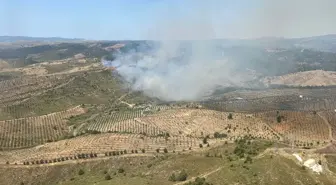 İzmir Seferihisar'da Yangın: Havadan ve Karadan Müdahale Başlatıldı