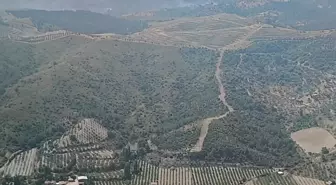 Seferihisar'daki Maki Yangını Kontrol Altına Alındı