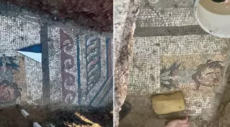 Kahramanmaraş'ta 1500 yıllık taban mozaiği bulundu