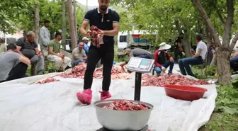 Kısıklı Köyü'nde Bayram Geleneği: 100 Küçükbaş Hayvan Kesildi