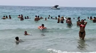 Kuşadası'nda Kurban Bayramı Rüzgarı: Kadınlar Denizi Plajı Dolu