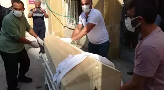 Sivas'ta kene 2 can daha aldı