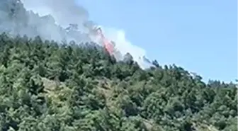 Kızılcahamam'da Orman Yangını Kontrol Altına Alındı