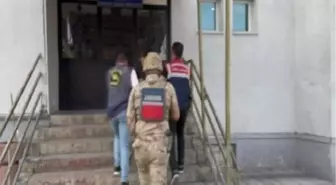 Gürpınar'da Yasak Geyik Avına Çıkan Şüpheli Yakalandı