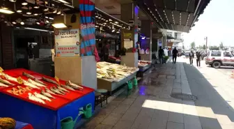 Balık hali sessizliğe büründü
