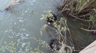 Aras Nehri'ne Düşen Serkan Akbaba'nın Cansız Bedeni Bulundu