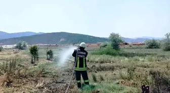 Osmancık'ta Tarlada Yangın, İtfaiye Hızlıca Müdahalede Bulundu