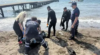 Gemlik'te Suriyeli çocuk boğuldu, bir kişi son anda kurtarıldı