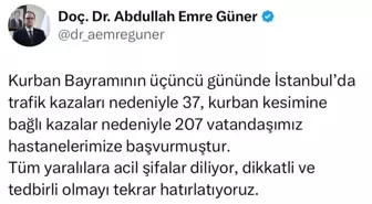 Kurban Bayramı'nda İstanbul'da 244 Hastane Başvurusu