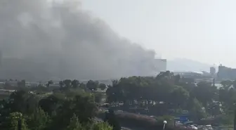 İzmir'de Eski Fabrikada Yangın: TIR ve Kamyonlar Zarar Gördü