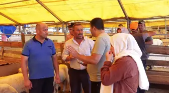 Kurban Pazarında Fiyatlar Düşüyor