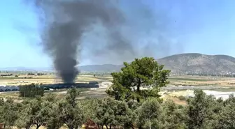Milas'ta Balık Üretim Tesisinde Yangın Paniği