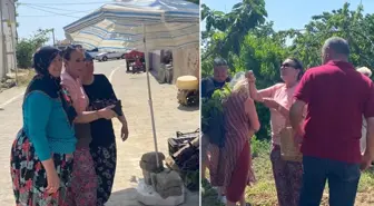 Perihan Savaş'tan yıllar sonra gelen sürpriz! Bahçeye girdi, kirazları dalından yedi