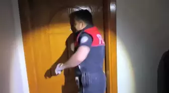 Sarıyer'de Uyuşturucu Operasyonu: 19 Kök Hint Keneviri Ele Geçirildi