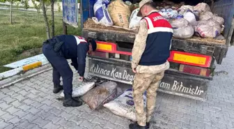 Muradiye'de Kaçak Avlanan 19 Ton İçi Kefali Balığı Ele Geçirildi