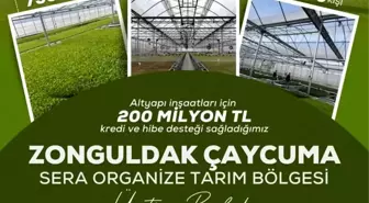 Zonguldak'ta Tarıma Dayalı Sera Organize Tarım Bölgesi Üretime Geçti