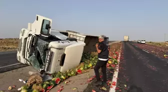 Şırnak'ta Karpuz Yüklü TIR Devrildi: Şoför Ağır Yaralandı