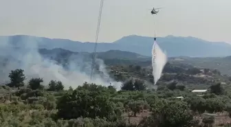 Manisa'da Tarım Arazisinde Yangın: 300 Dönüm Zarar Gördü