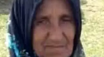 Ordu'da Hafriyat Kamyonu Yayaya Çarptı, 75 Yaşındaki Kadın Hayatını Kaybetti