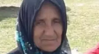 Hafriyat Kamyonu, Yolda Yürüyen Kadına Çarptı: 75 Yaşındaki Gülser Uçan Hayatını Kaybetti