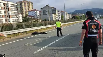 Karadeniz Sahil Yolu'nda Kaza: 2 Ölü, 3 Yaralı