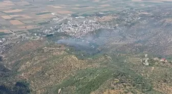 Aydın'da Zeytin Ağaçlarıyla Kaplı Tarım Arazisinde Yangın