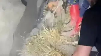 Keçiören'de Heyelan Bölgesinde Çukura Düşen Genç Kurtarıldı
