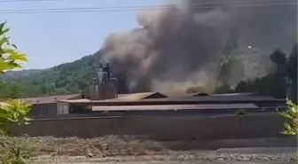 Sinop'ta Kereste Fabrikasında Yangın