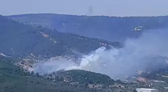 İzmir'de Orman Yangınına Hava ve Kara Müdahale