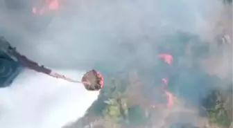 İzmir Aliağa'da Tarım Arazisinde Yangın Çıktı