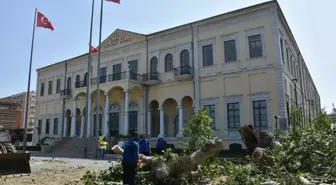 İzmir Valiliği Önündeki Asırlık Çınar Devrildi